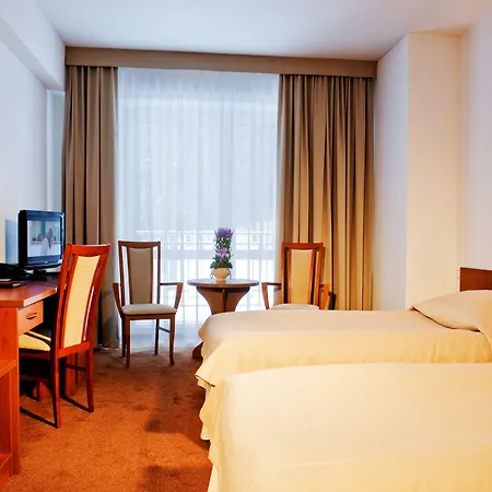 Conference & فندق 4*