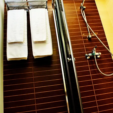 Conference & كرينيتسا زدروي