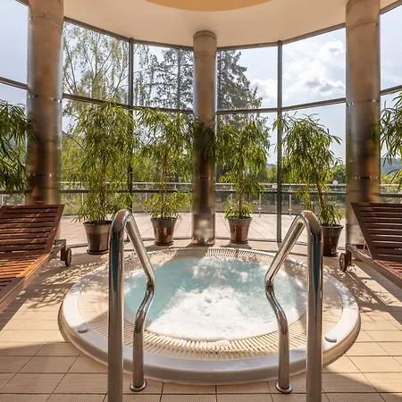 Conference & فندق