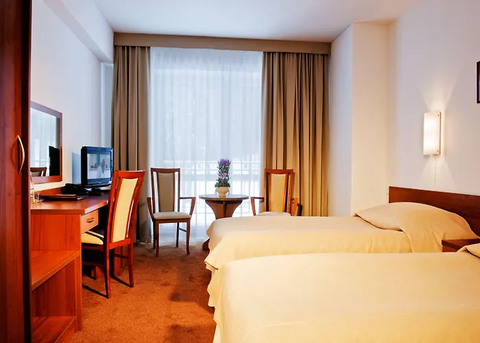 Conference & 호텔 4*