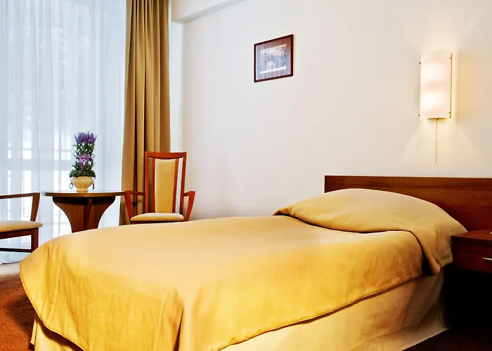 Conference & 크리니차 즈드로이