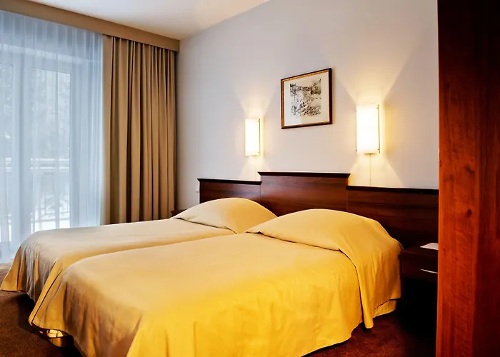 호텔 Conference & 4*