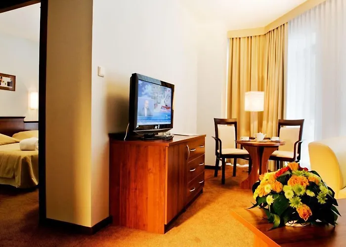 Conference & 크리니차 즈드로이