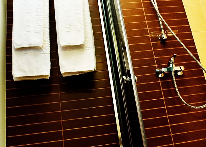 Conference & 크리니차 즈드로이