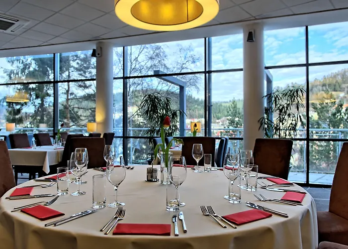 Conference & 호텔 크리니차 즈드로이